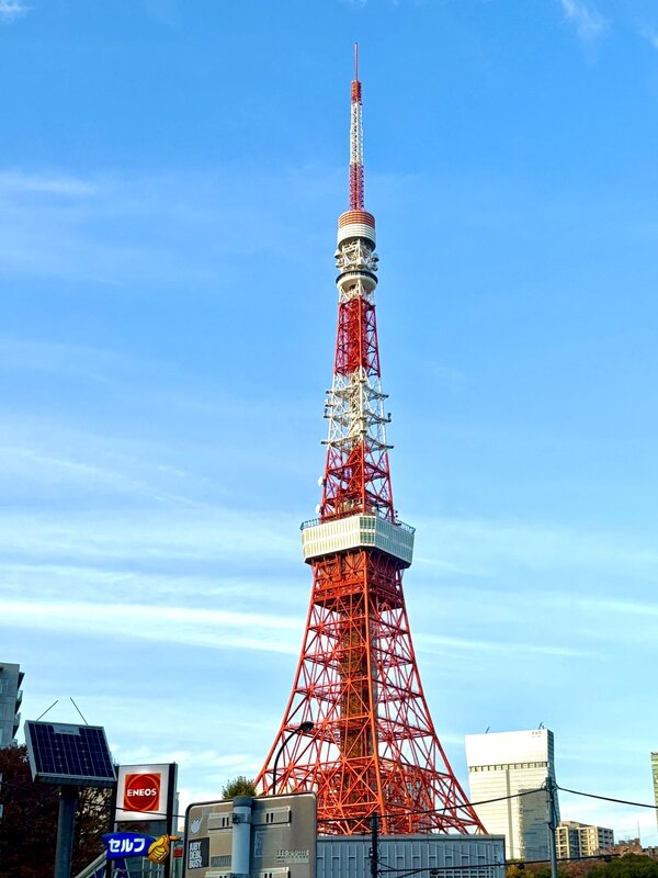 IMG_8620.jpeg