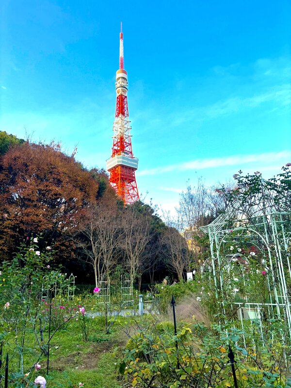 IMG_8624.jpeg