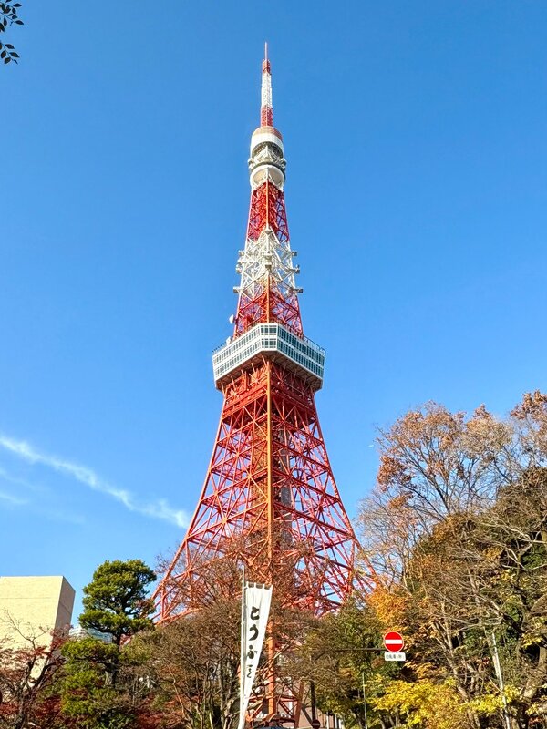 IMG_8621.jpeg
