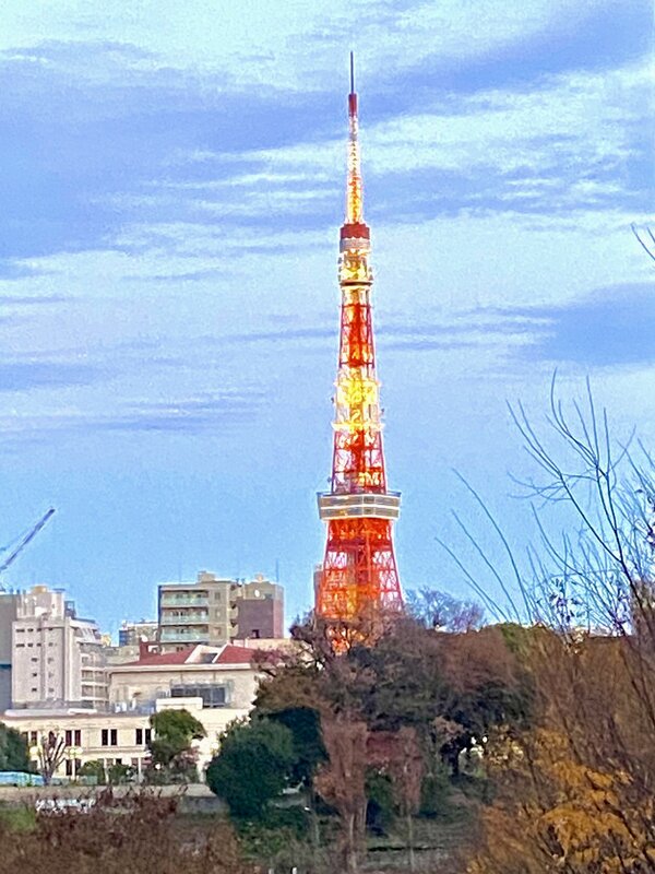 IMG_8634.jpeg