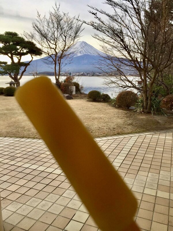 IMG_8529.jpeg