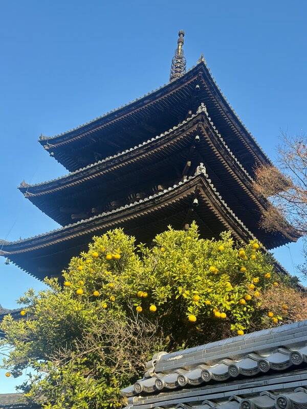 IMG_2009.jpeg