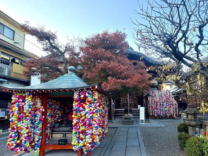 IMG_2010.jpeg