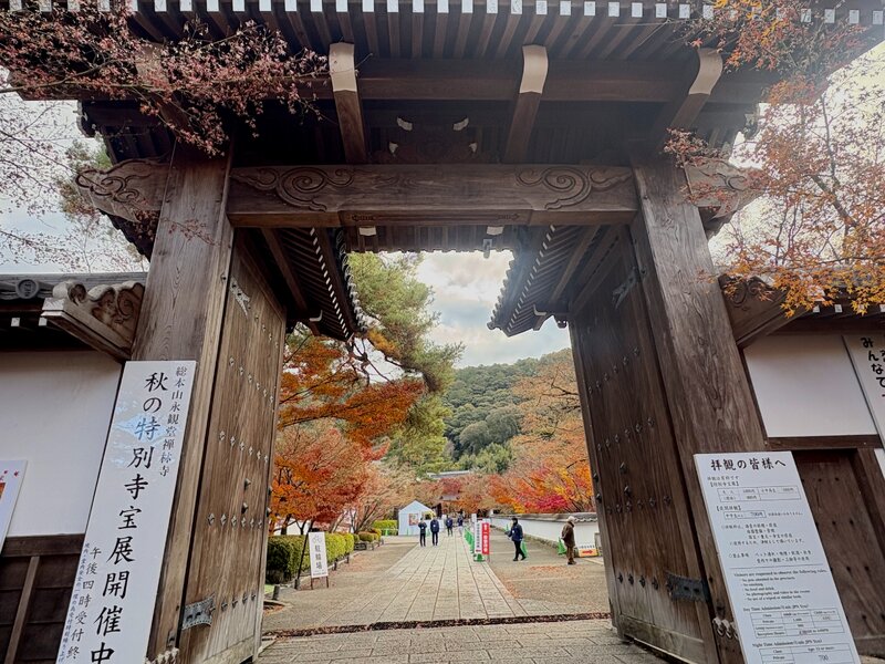 IMG_2030.jpeg