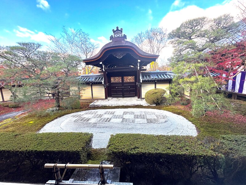IMG_2053.jpeg