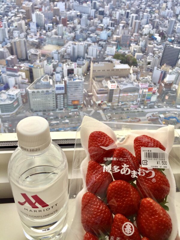 IMG_8898.jpeg