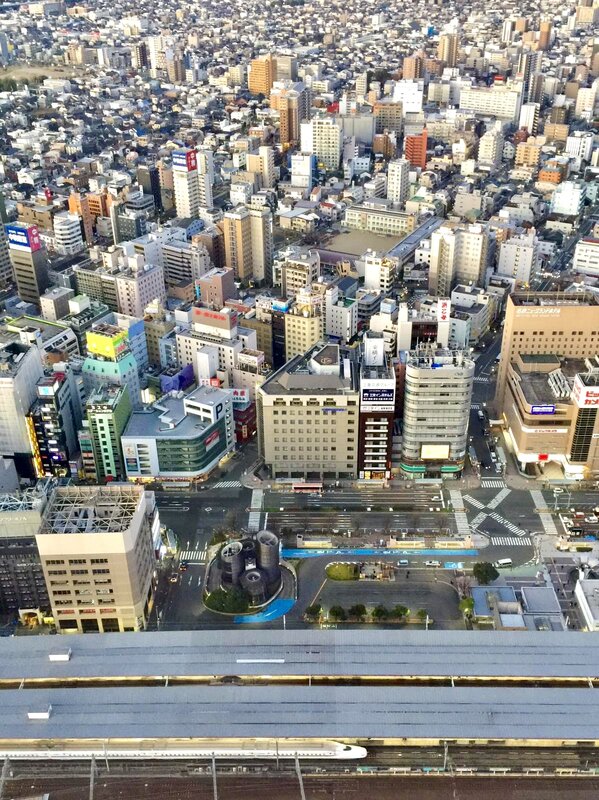 IMG_8911.jpeg
