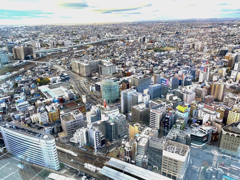 IMG_8975.jpeg