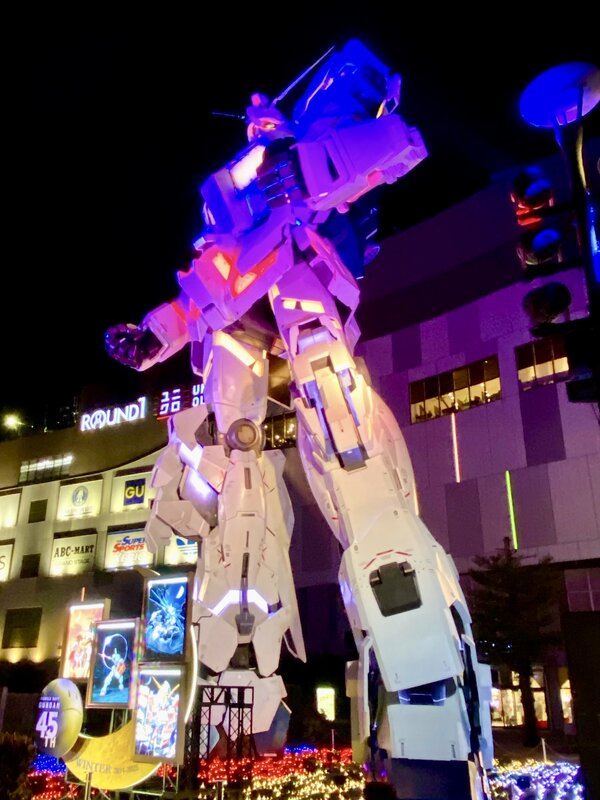 IMG_8955.jpeg