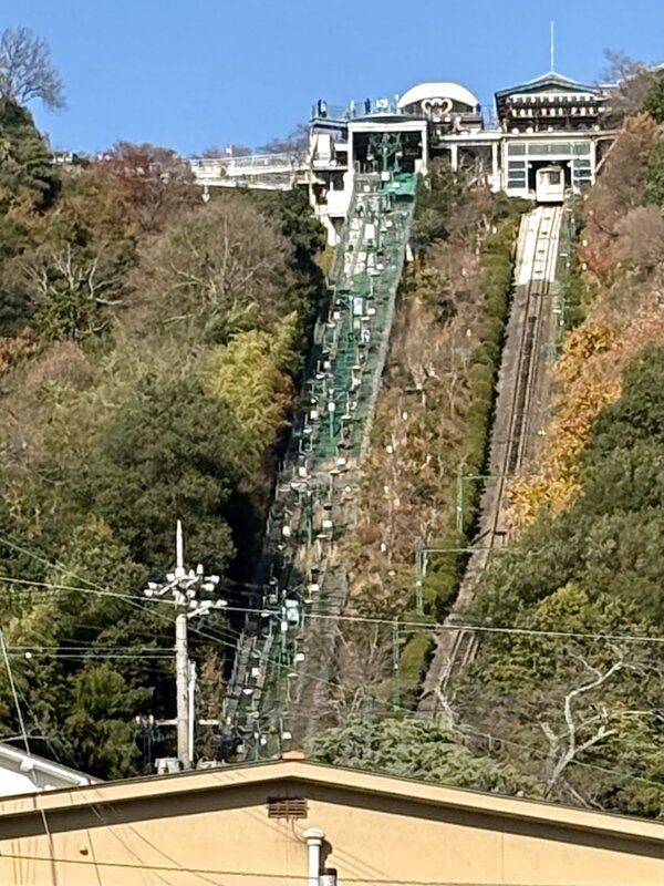IMG_2877.jpeg