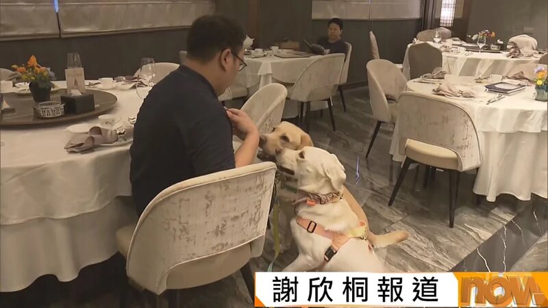 狗隻入食肆實施3日　有連鎖餐廳分店退出計劃.jpg