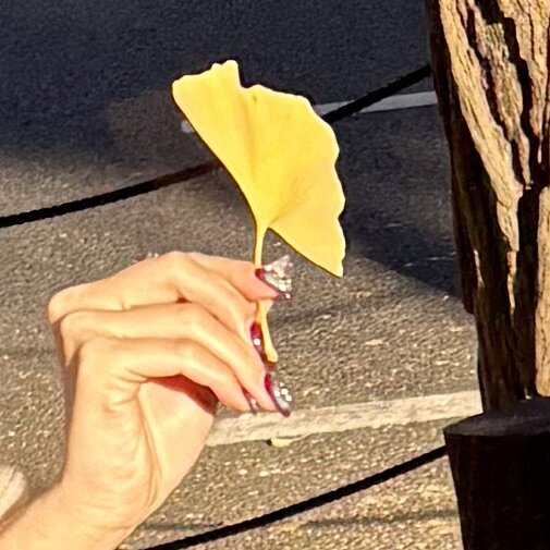 IMG_0631.jpeg