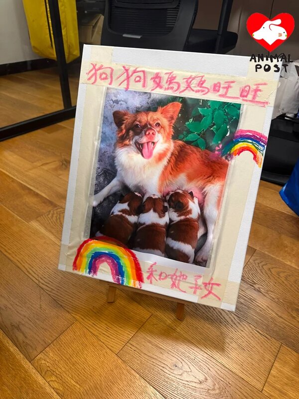 5 有熱心市民製作悼念旺旺一家的紙牌。.jpg