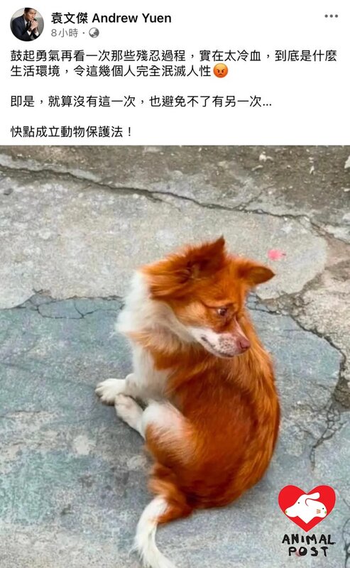 4 袁文傑為旺旺一家發聲。.jpg