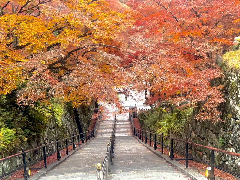 IMG_1825.jpeg