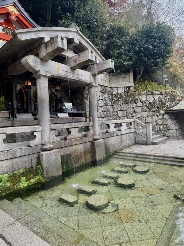 IMG_1912.jpeg