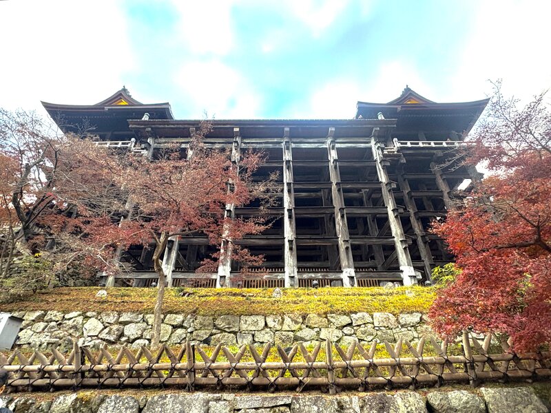 IMG_1920.jpeg