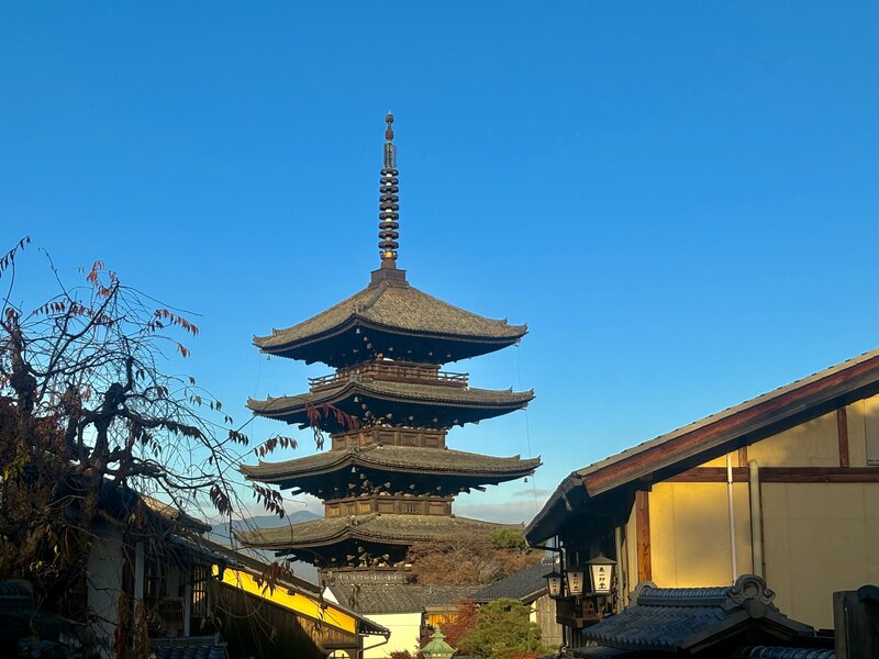 IMG_2005.jpeg