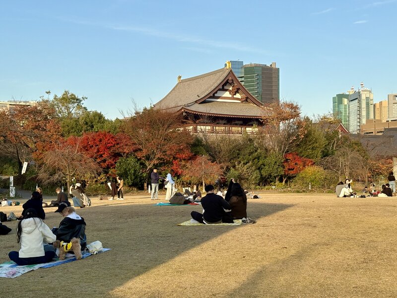 IMG_9970.jpeg