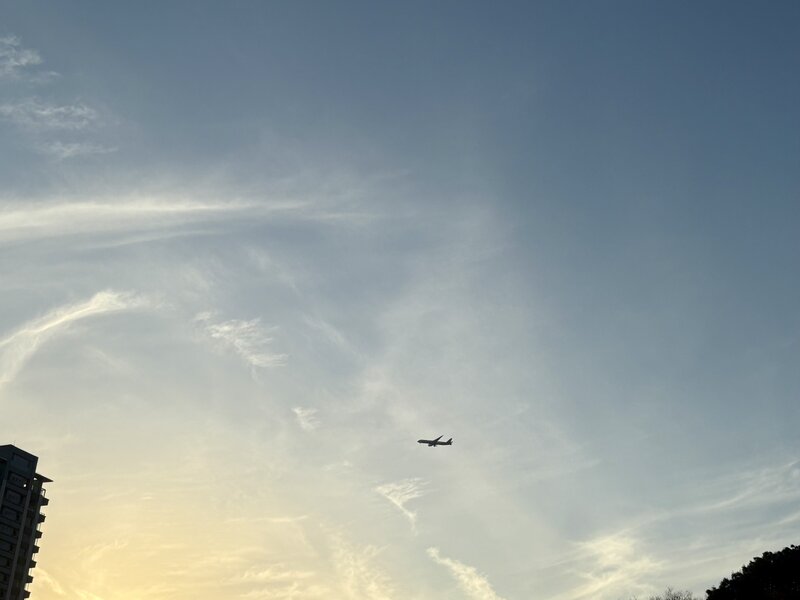 IMG_9973.jpeg