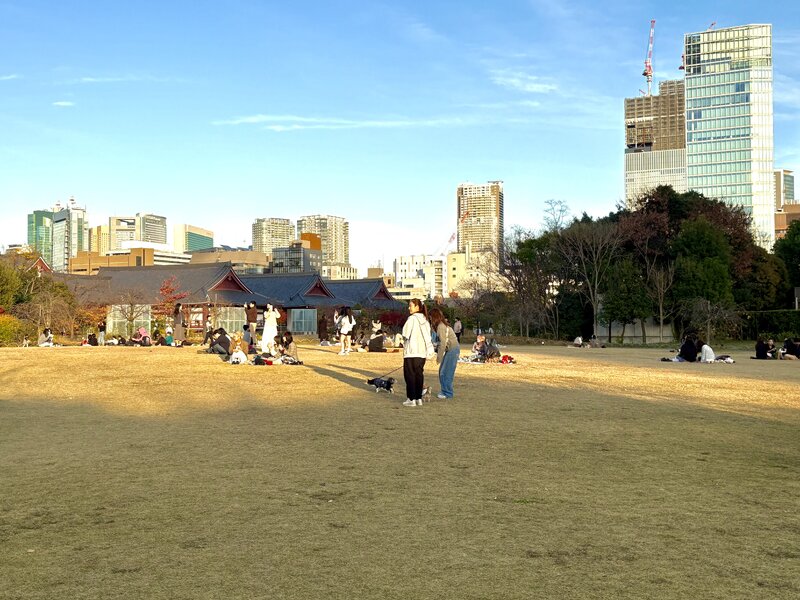IMG_9969.jpeg