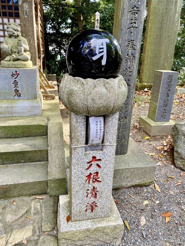 IMG_1632.jpeg