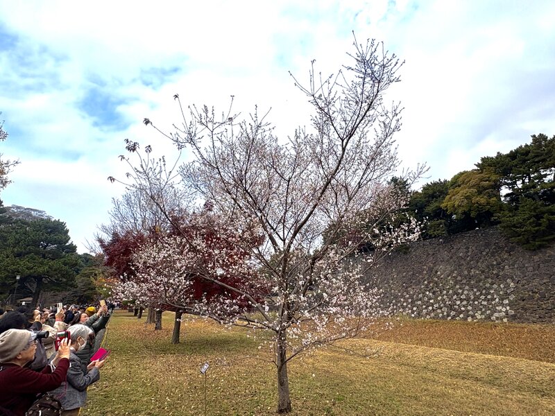 IMG_0154.jpeg