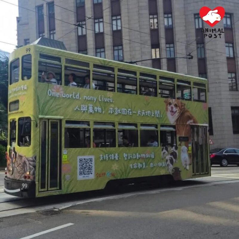 2 Suppaw在電車上刊登廣告，為旺旺一家發聲。.jpg