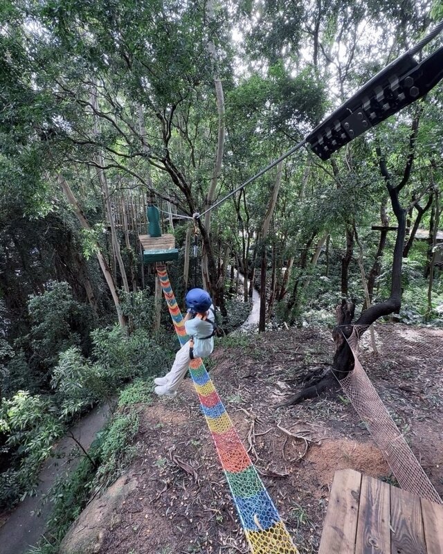 72755.jpg