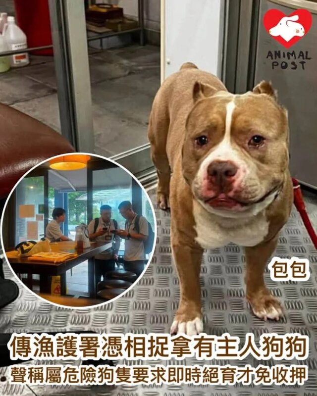 傳漁護署憑相捉拿有主人狗狗　聲稱屬「危險狗隻」要求即時絕育才免收押.jpg