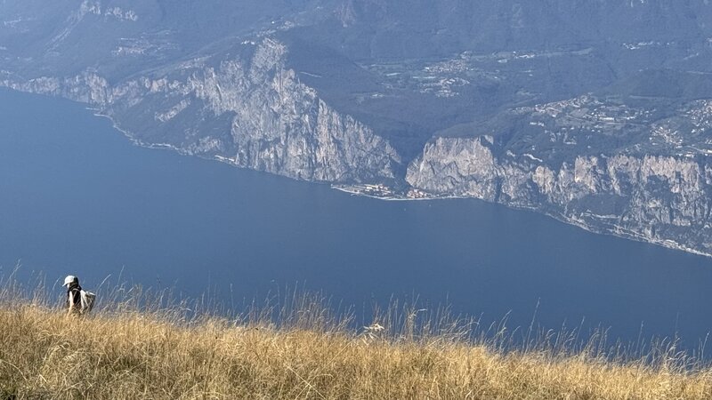 IMG_3443.jpeg