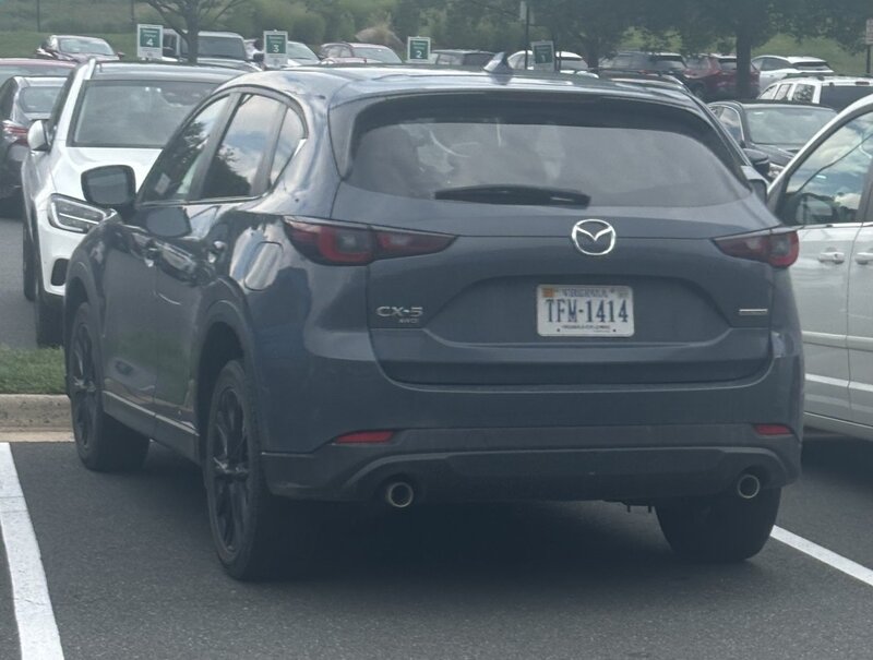 32862538.jpg