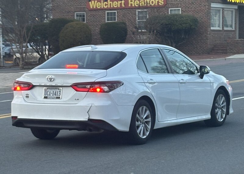 31449353.jpg