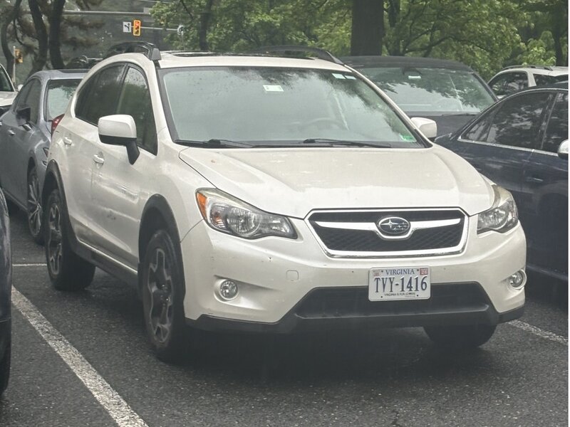 32337092.jpg