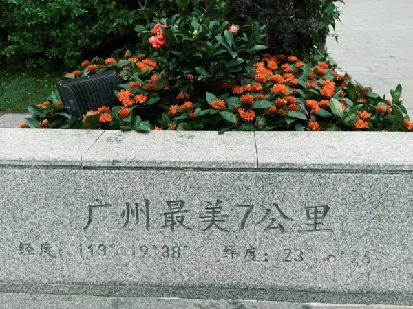 89795.webp
