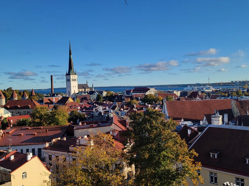 20261018_100249.jpg