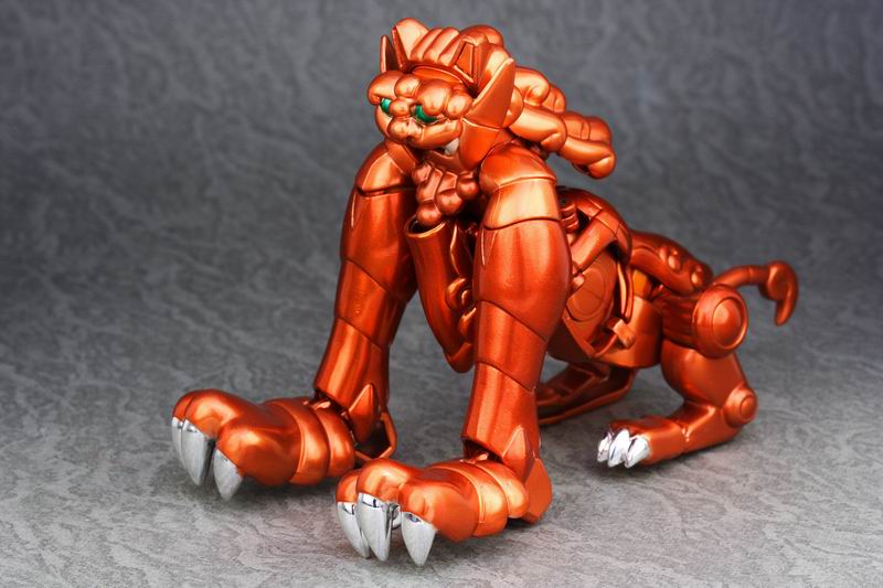 青銅聖衣 幼獅座05.jpg