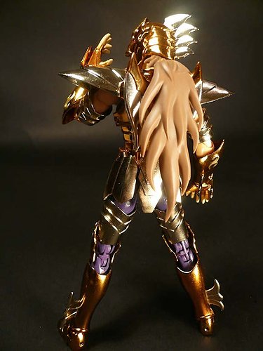 海鬥士 海馬 拜安11.jpg