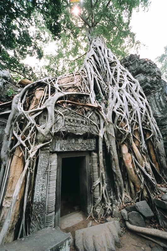 剪不斷．理還亂