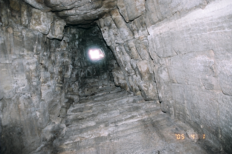 我們都成了井底之蛙