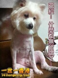 係你既始終係你既....第二集