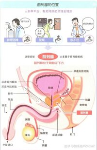 持久力不足＋夜尿頻密，我用抓龍筋當保養的結果