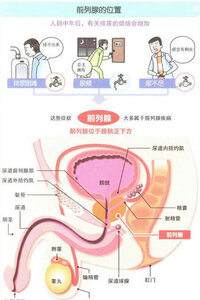 師兄你唔試你會後悔