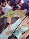 AC新女推薦5選1之絲襪誘惑-AC.CC-18幼幼加黑絲襪
