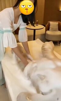 新年清腸胃？我選擇清慾望！沁悅一粒鐘叉電報告